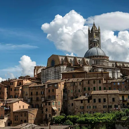 Daire Asso Di Picche *